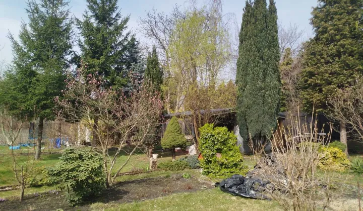 Działka rod Zabrze, ul. Józefa Rymera