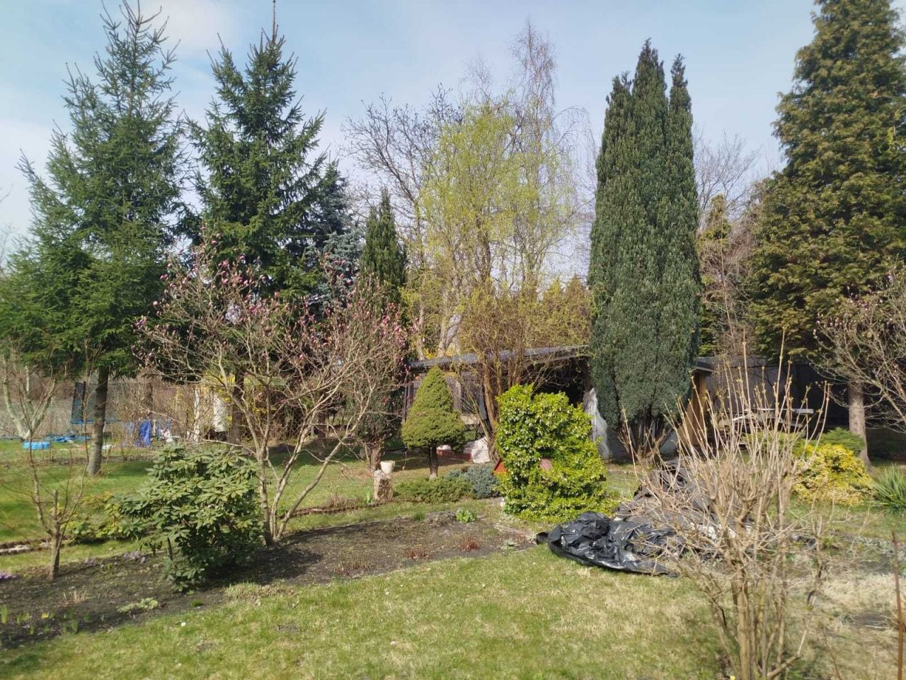 Działka rod Zabrze, ul. Józefa Rymera. Zdjęcie 1