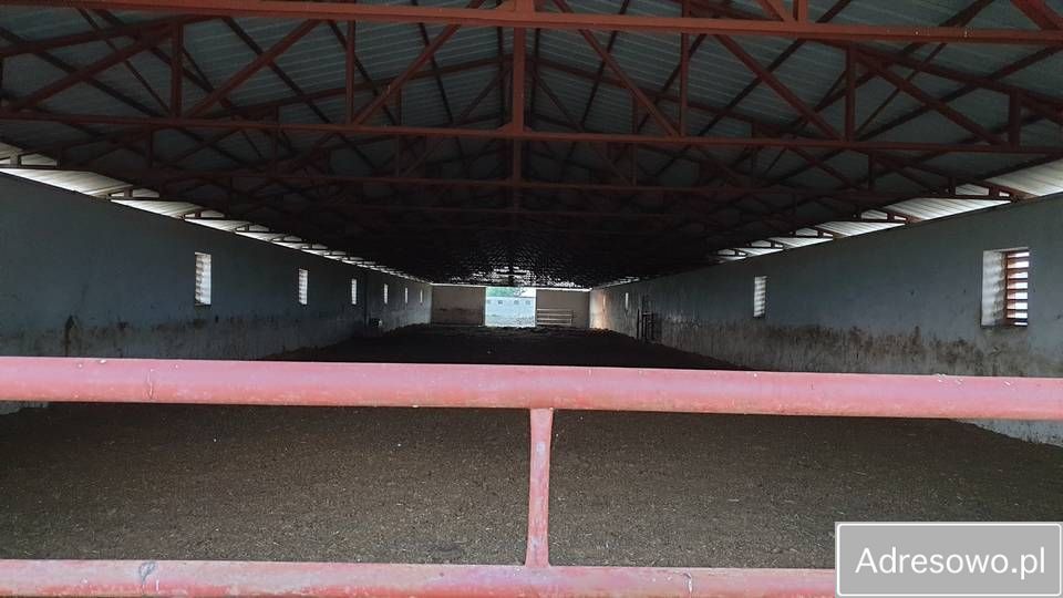 Działka rolna Wola Trębska. Zdjęcie 6