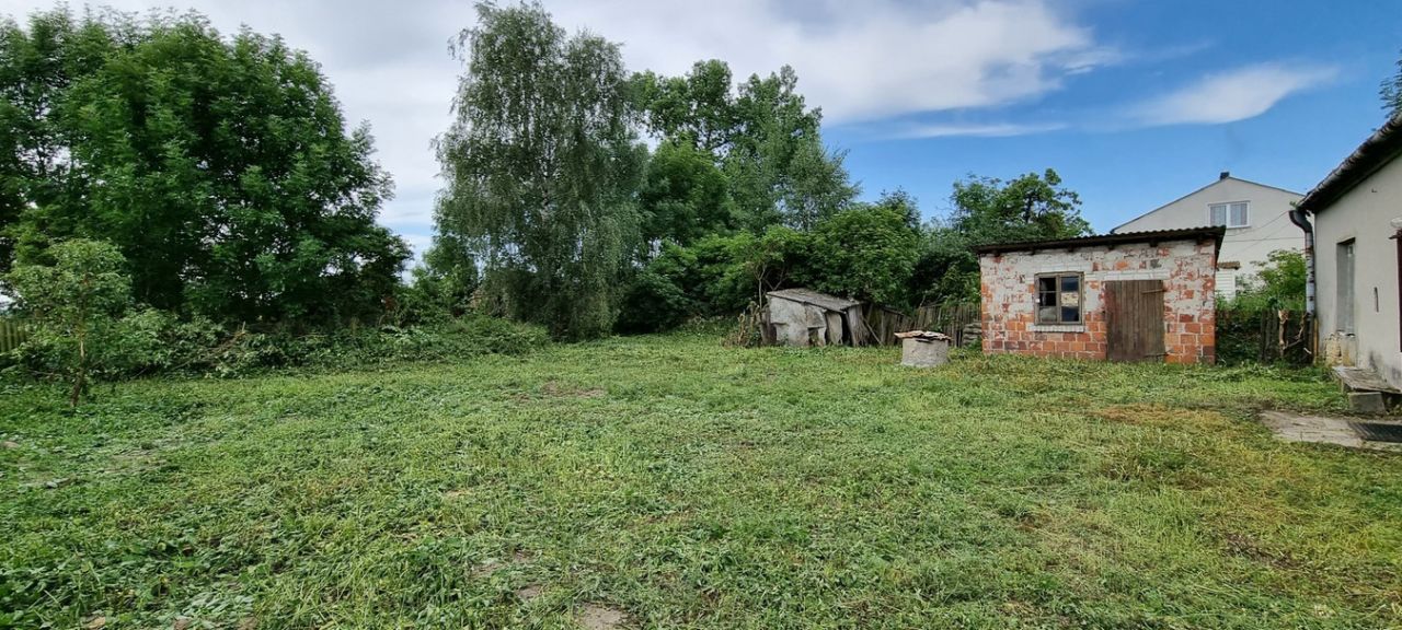 Działka rolna Wielenin. Zdjęcie 15