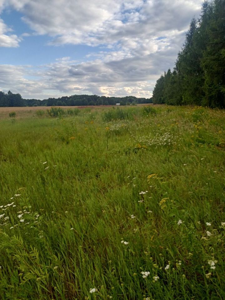 Działka budowlana Kodrąb