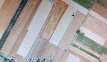 Działka rolna Guzówka