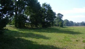 Działka rolna Sośnie