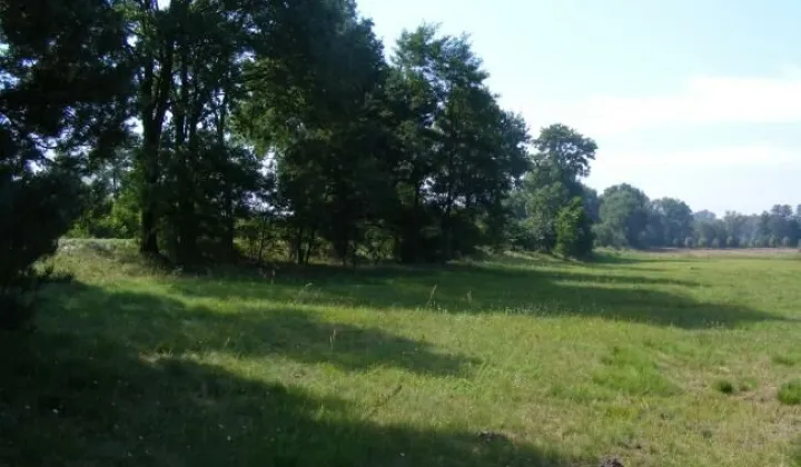 Działka rolna Sośnie