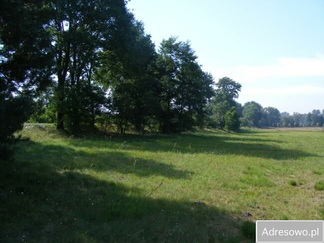 Działka rolna Sośnie
