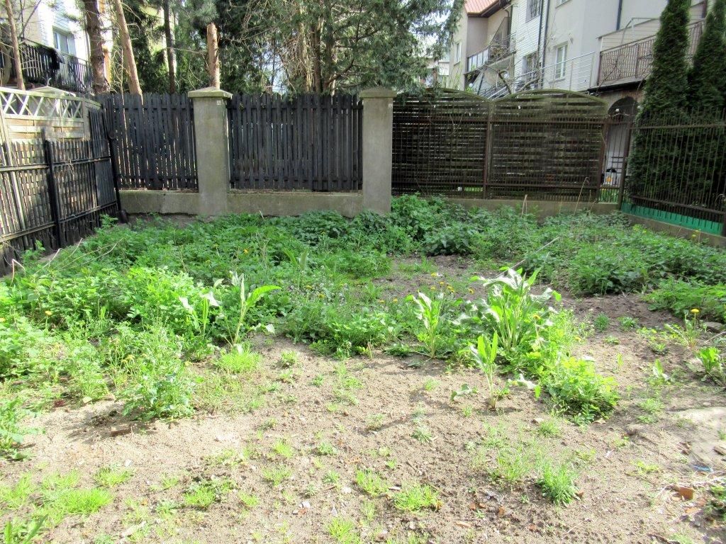 dom szeregowy, 9 pokoi Ząbki, ul. 11 Listopada. Zdjęcie 8