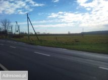 Działka budowlana Stare Sioło Lipina. Zdjęcie 2