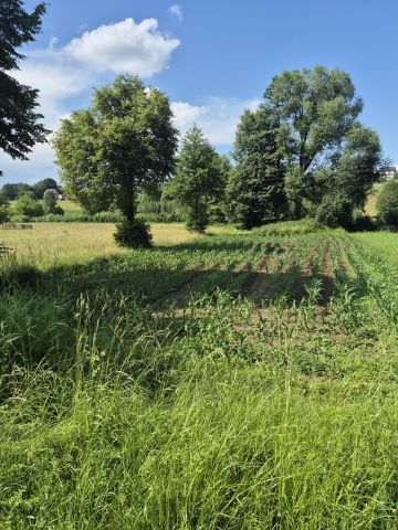 Działka budowlana Łąkta Górna. Zdjęcie 1