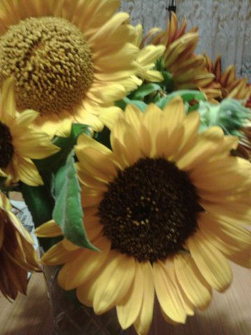 Mieszkanie 1-pokojowe Opole Chabrów, ul. Chabrów. Zdjęcie 1