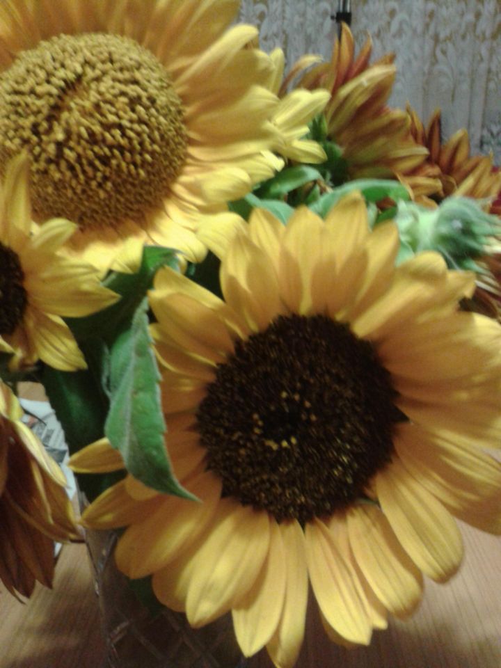 Mieszkanie 1-pokojowe Opole Chabrów, ul. Chabrów