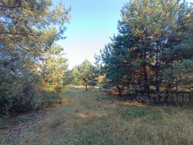 Działka budowlana Śliwice, ul. Pszenna. Zdjęcie 1