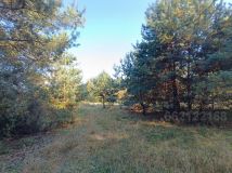 Działka budowlana Śliwice, ul. Pszenna