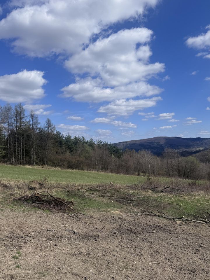 Działka rolna Koziniec. Zdjęcie 4