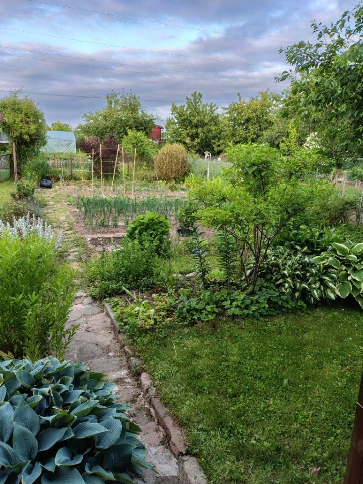 Działka rod Suwałki. Zdjęcie 6