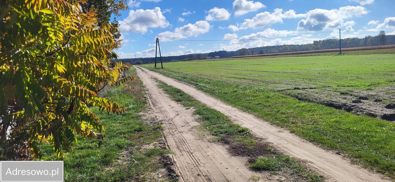 Działka rolno-budowlana Wilków. Zdjęcie 2