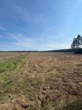 Działka rolna Strzałkowo. Zdjęcie 2