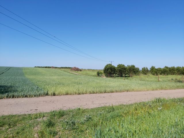 Działka rolna Witkowo Drugie, ul. Czereśniowa. Zdjęcie 1