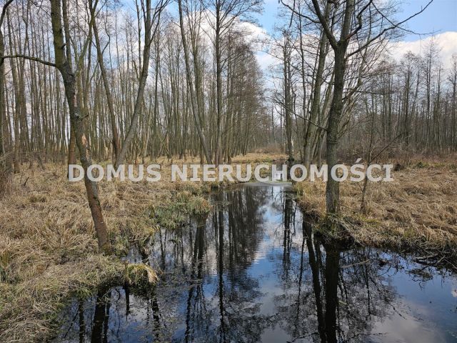 gospodarstwo, 3 pokoje Frydrychów. Zdjęcie 7