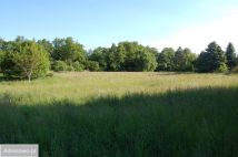 Działka budowlana Słupca, ul. Koszucka. Zdjęcie 1