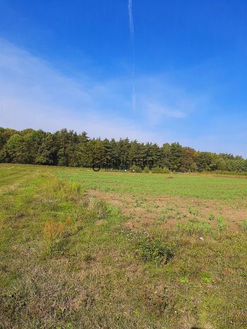 Działka inwestycyjna Stronno. Zdjęcie 2