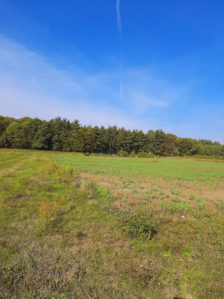 Działka inwestycyjna Stronno. Zdjęcie 2