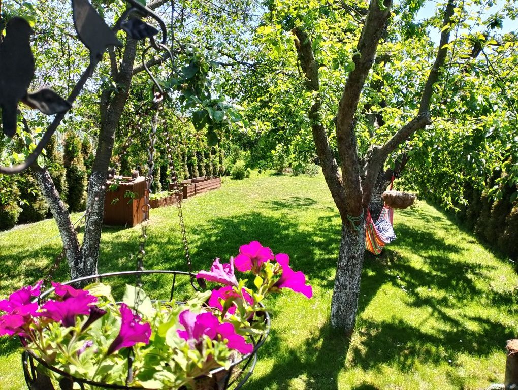 Działka rod Stary Sącz. Zdjęcie 7