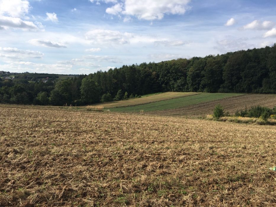 Działka rolna Maszków. Zdjęcie 9