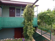 Działka rod Wudzyn. Zdjęcie 1