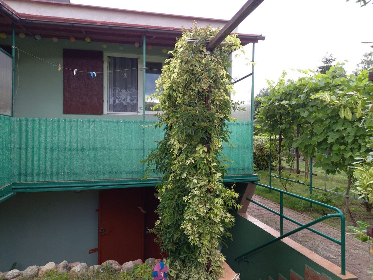 Działka rod Wudzyn. Zdjęcie 2