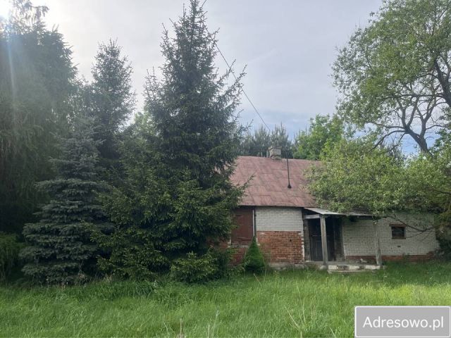 Działka siedliskowa Stary Bazanów. Zdjęcie 1