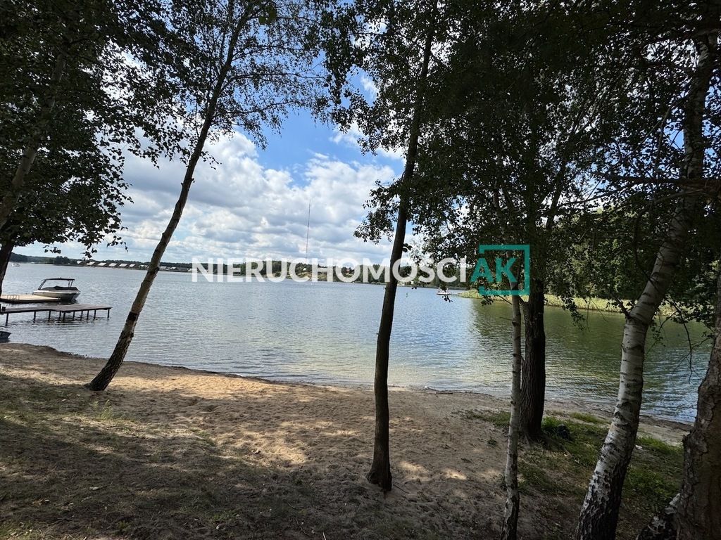 Działka leśna Głębockie Pierwsze. Zdjęcie 2