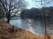 Działka rolna Wszebory. Zdjęcie 1