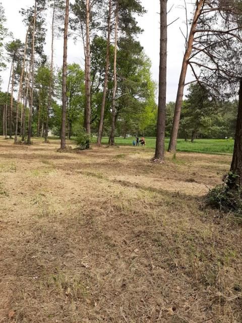 Działka budowlana Siechnice. Zdjęcie 6