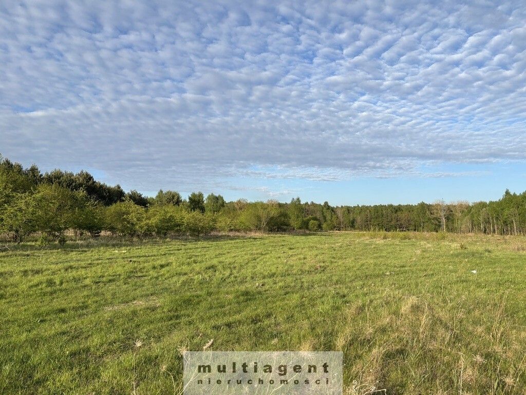 Działka rolna Chomino. Zdjęcie 1