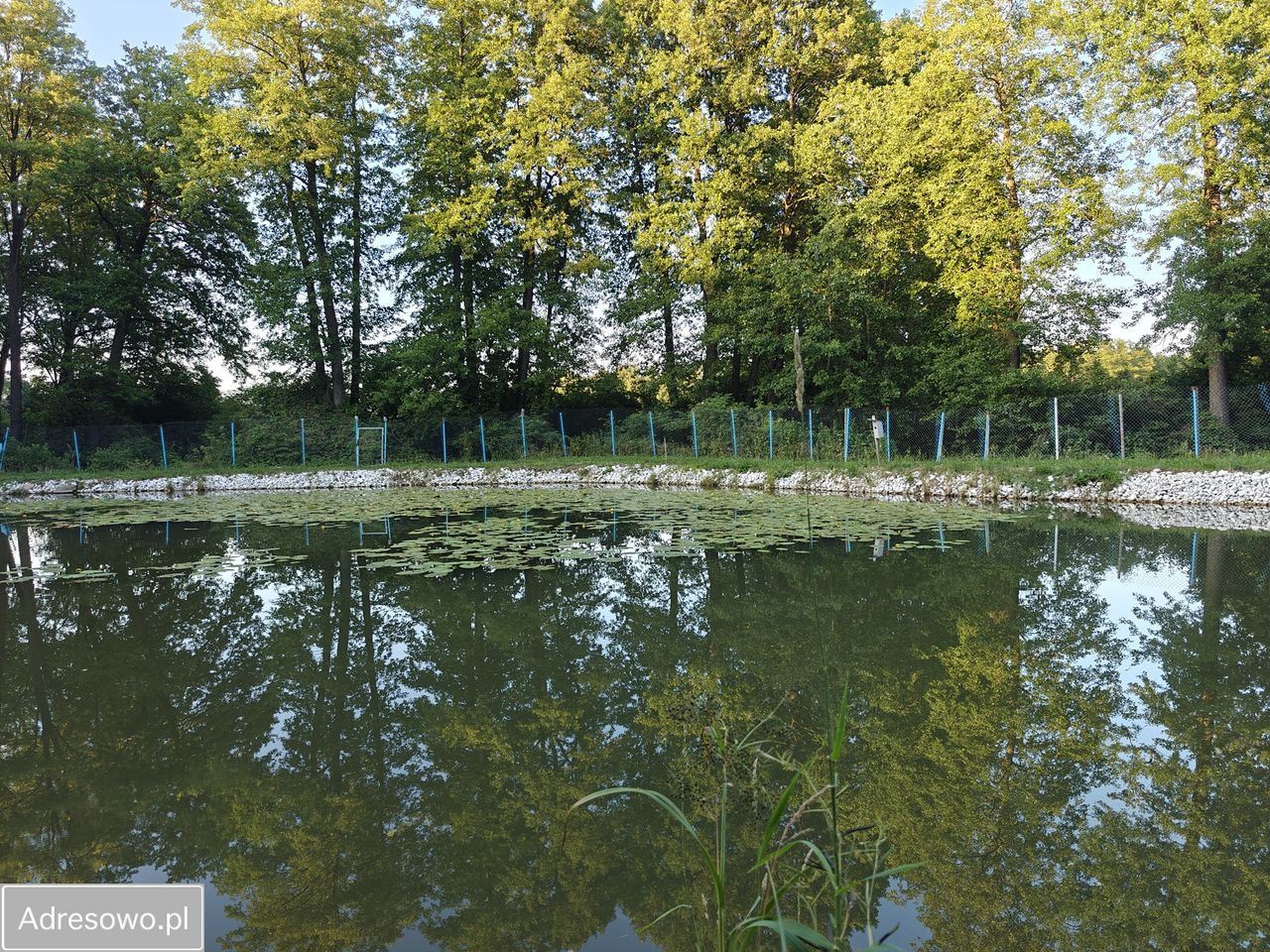 Działka rolno-budowlana Trakt Puszczański. Zdjęcie 10