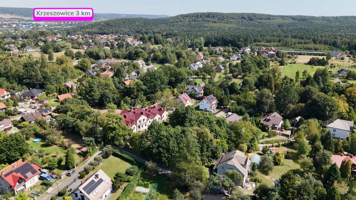 Lokal Tenczynek, ul. Henryka Sienkiewicza. Zdjęcie 12