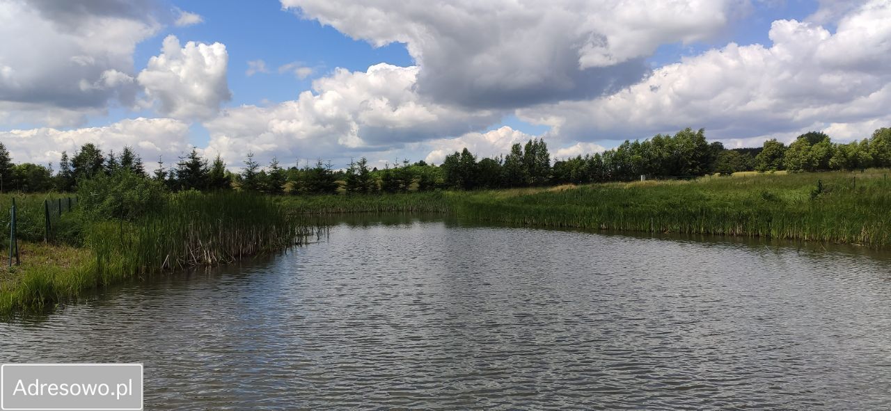 Działka budowlana Brzeźno. Zdjęcie 2