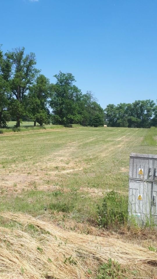 Działka rolno-budowlana Kiczarowo. Zdjęcie 2
