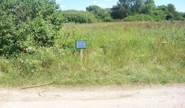 Działka rolna Brzuza