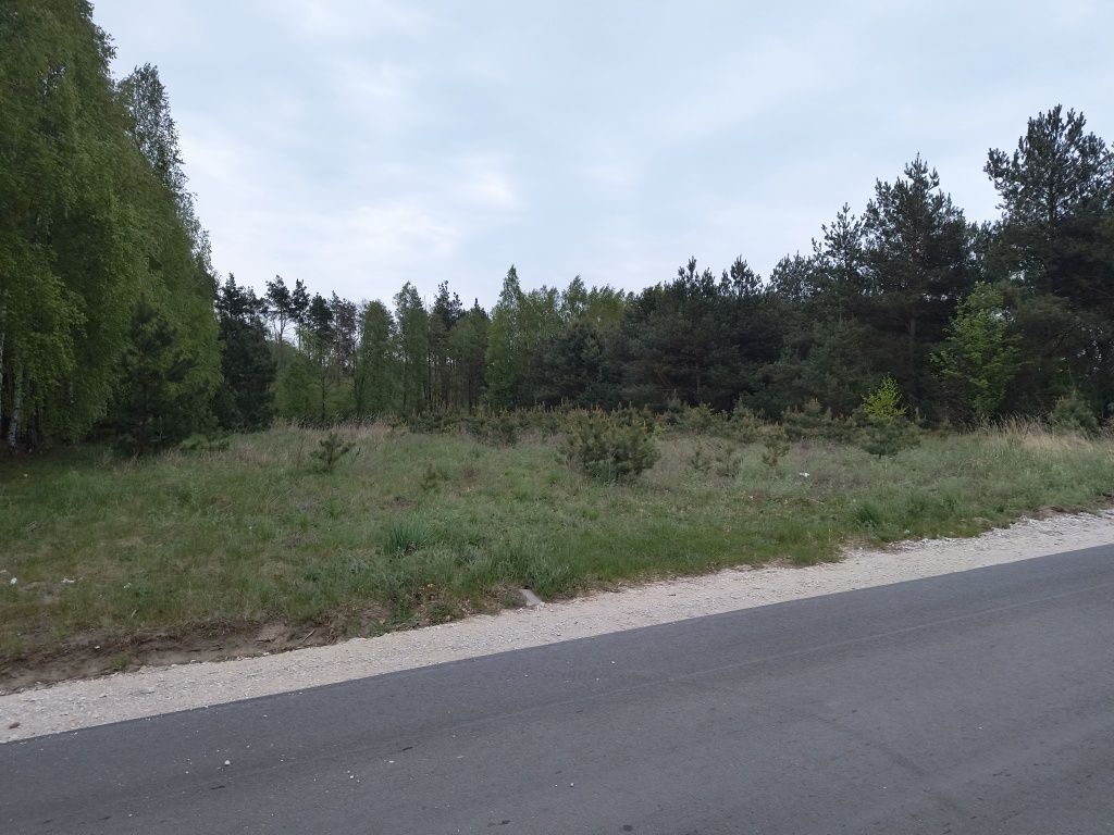 Działka rolna Jarczewo. Zdjęcie 5