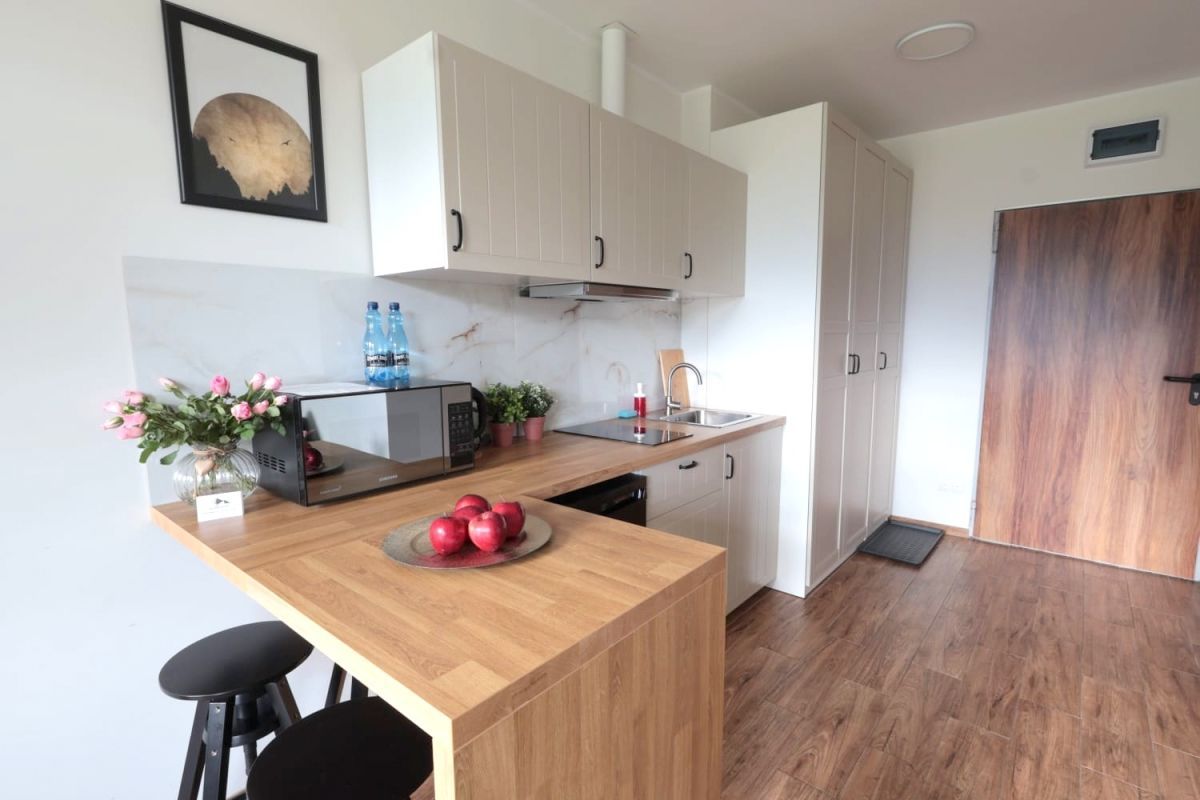 Mieszkanie 1-pokojowe Karpacz. Zdjęcie 9