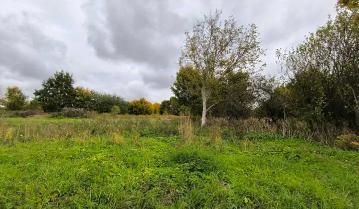 Działka budowlana Żagań, ul. Piłsudskiego