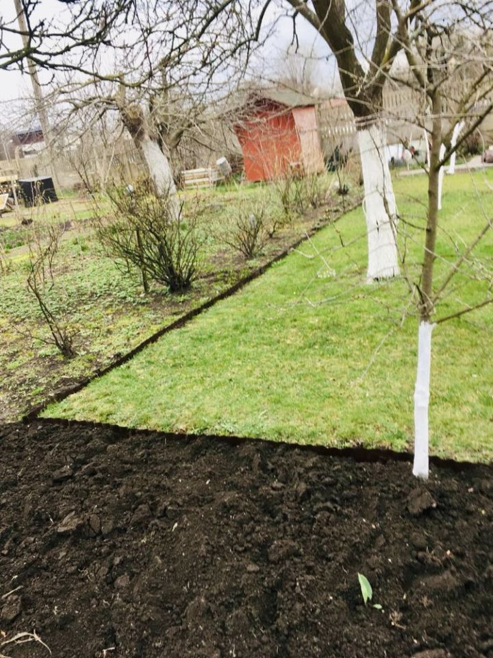 Działka rod Wrocław Śródmieście, ul. Rakowiecka. Zdjęcie 7