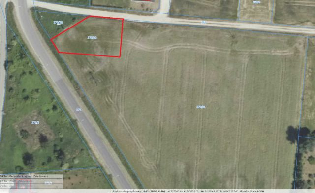 Działka rolno-budowlana Mrozów, ul. Wodna. Zdjęcie 1