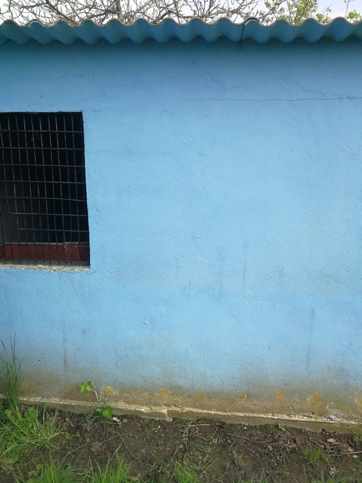 Działka rod Trzebiatów. Zdjęcie 2