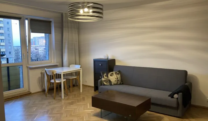 Mieszkanie 1-pokojowe Poznań Winogrady