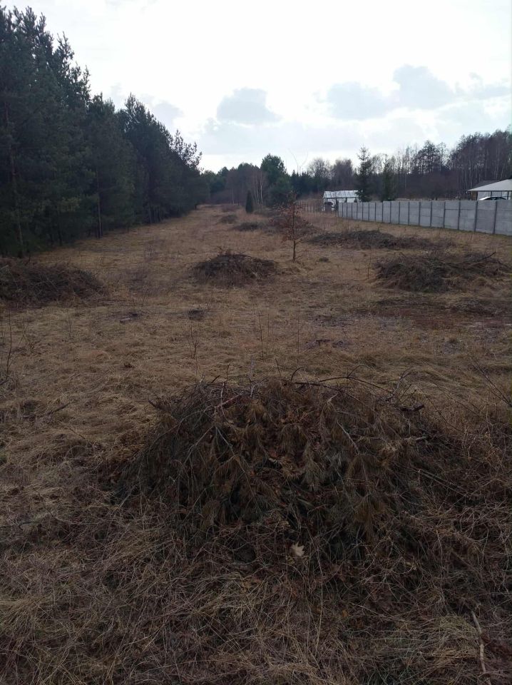 Działka budowlana Dyle Cyncynopol. Zdjęcie 10