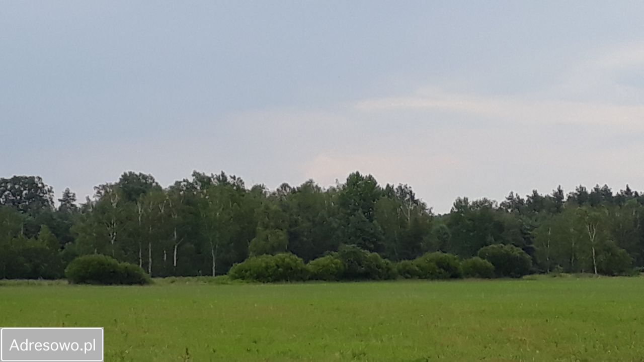 Działka rolna Pokój. Zdjęcie 4