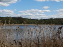 Działka rekreacyjna Pobondzie. Zdjęcie 2
