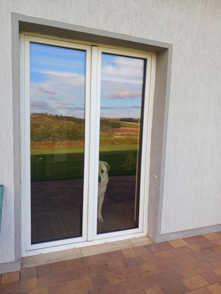 dom wolnostojący, 4 pokoje Węgiersk. Zdjęcie 9